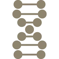 Anti-Aging Komponenten